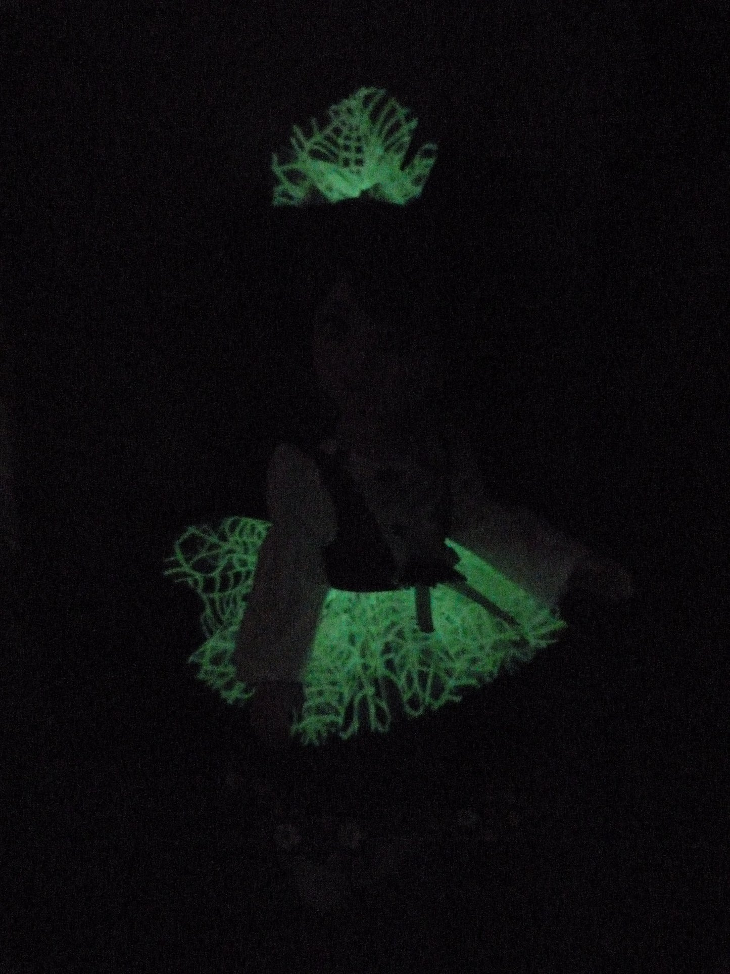 Custom Paola Reina - Wendy the Halloween Witch