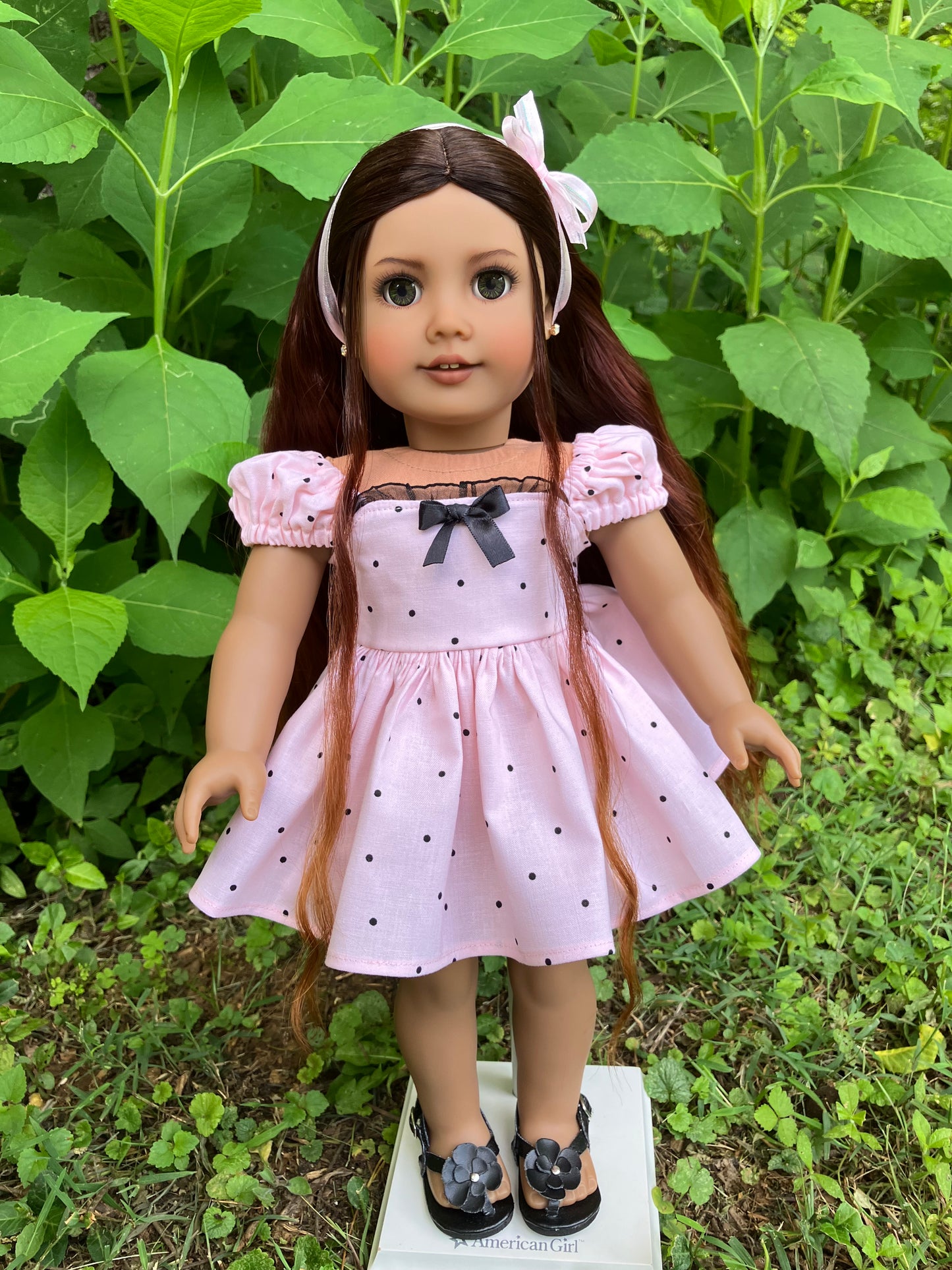 Custom American Girl Doll - Erika