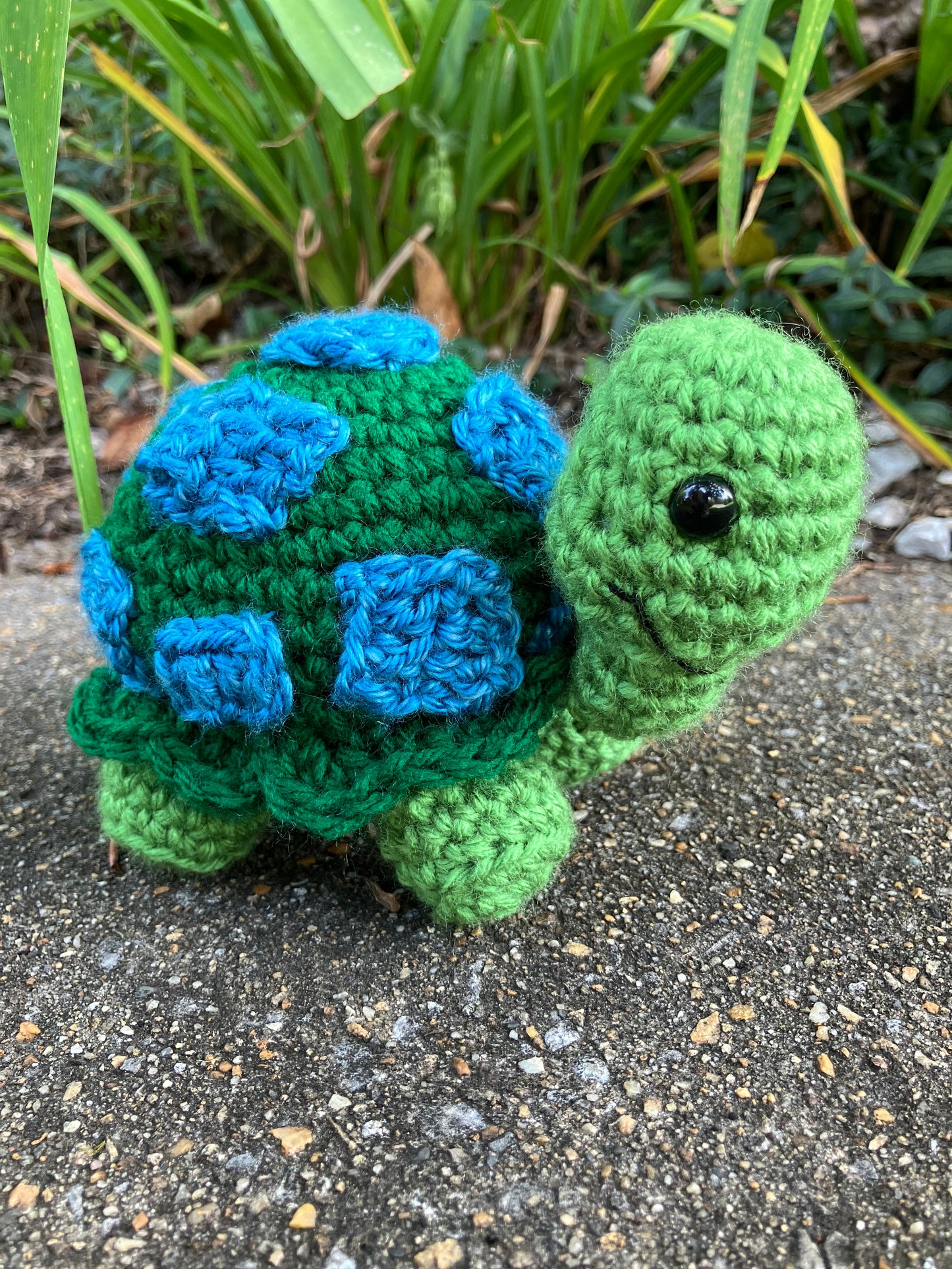 Custom American Girl Doll - Apple Dumpling & Tea Time Turtle