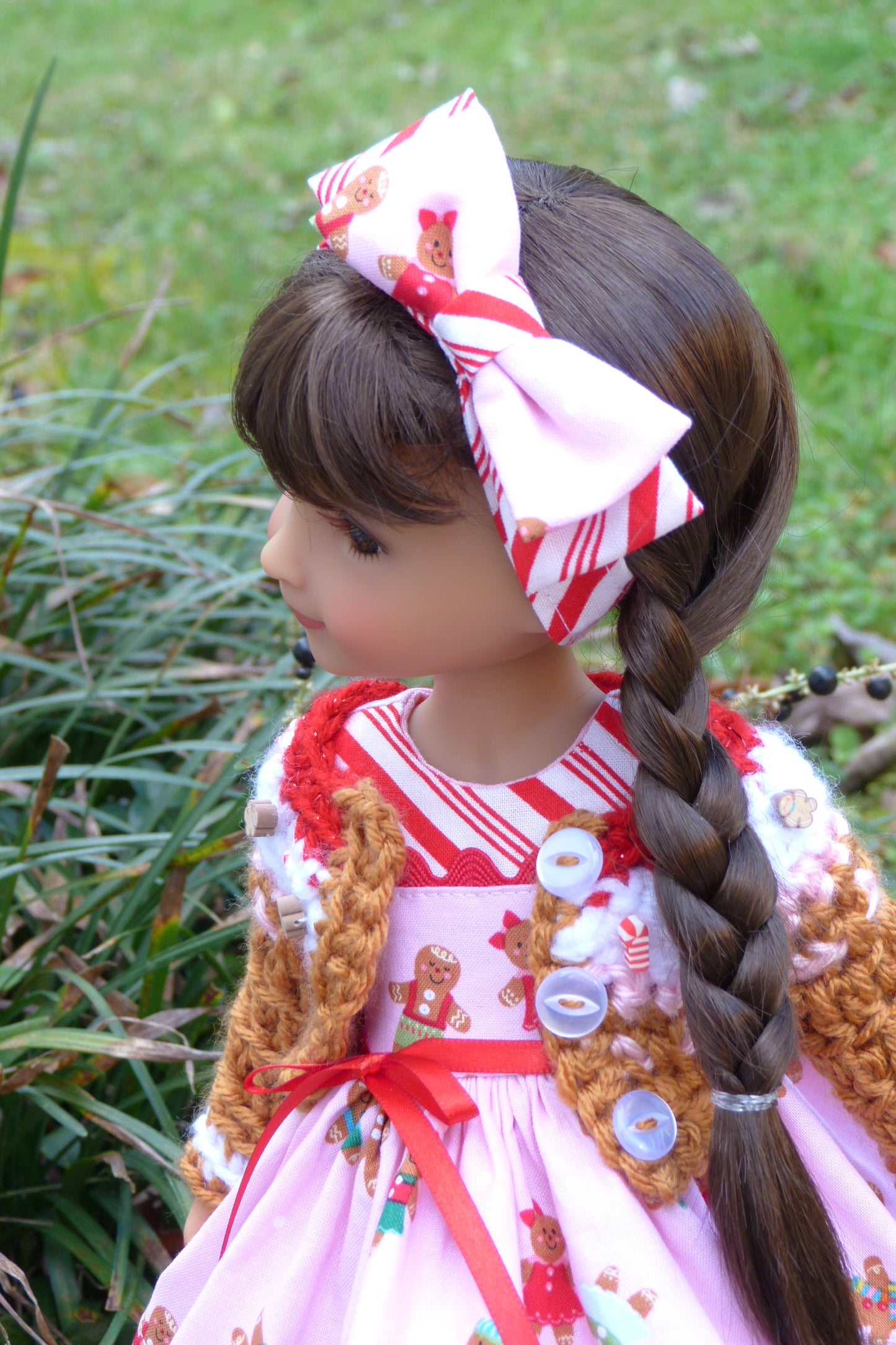 Peppermints and Gingerbread Outfit